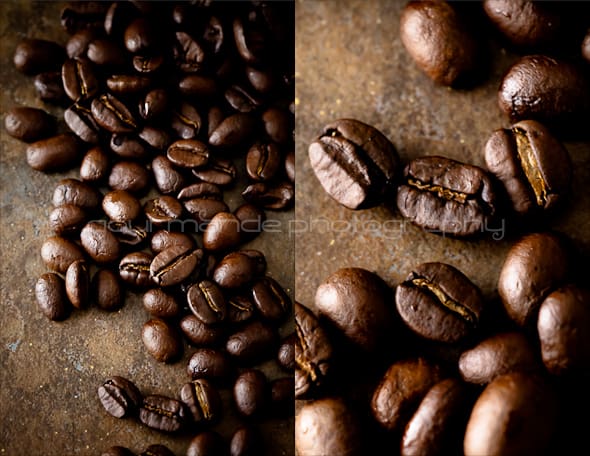 coffee bean diptych