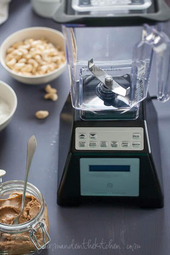 blendtec blender review