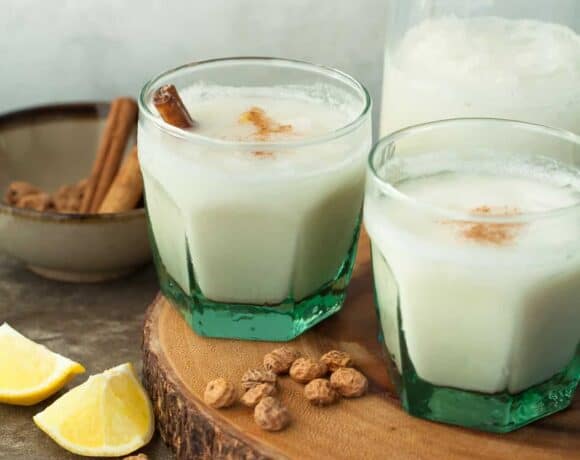 Spanish Style Tigernut Coconut Horchata