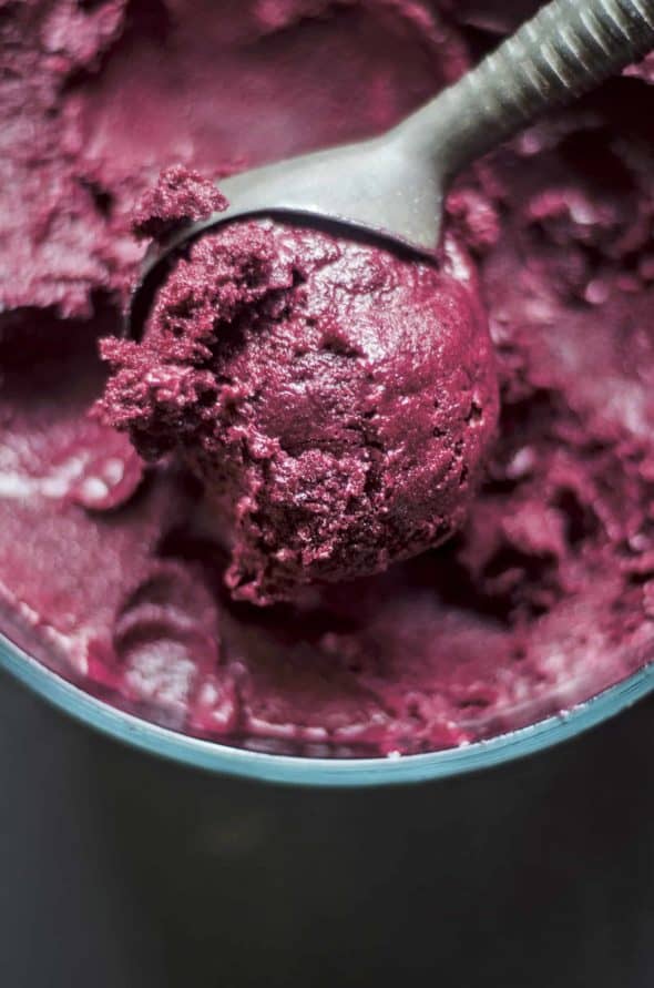 Scoop of Concord Grape Sorbet