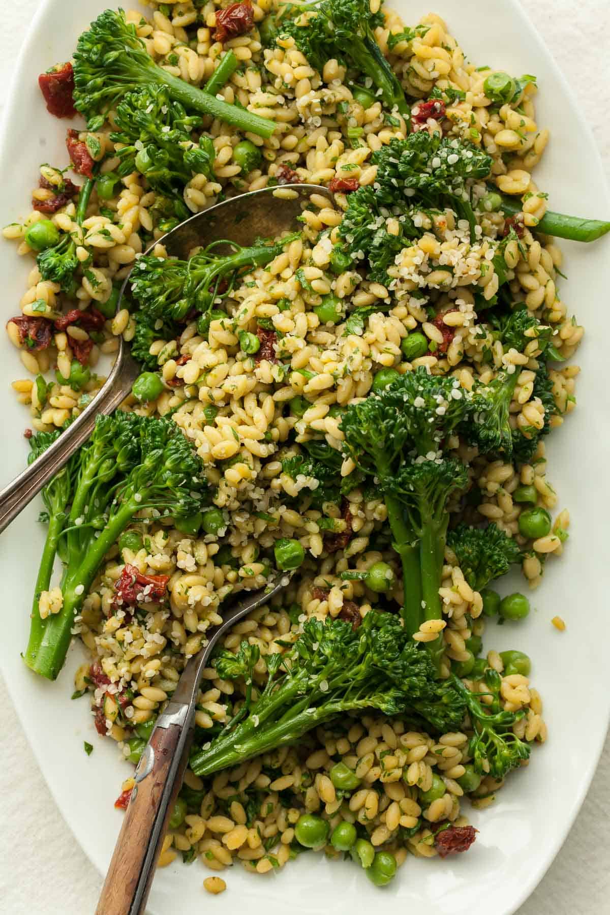 Summer Orzo Pasta Salad Close Up