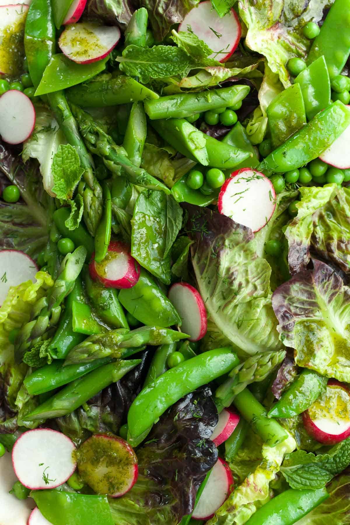 spring salad close up view