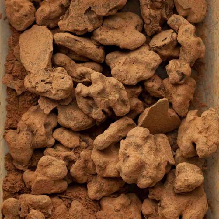 Chocolate Walnuts