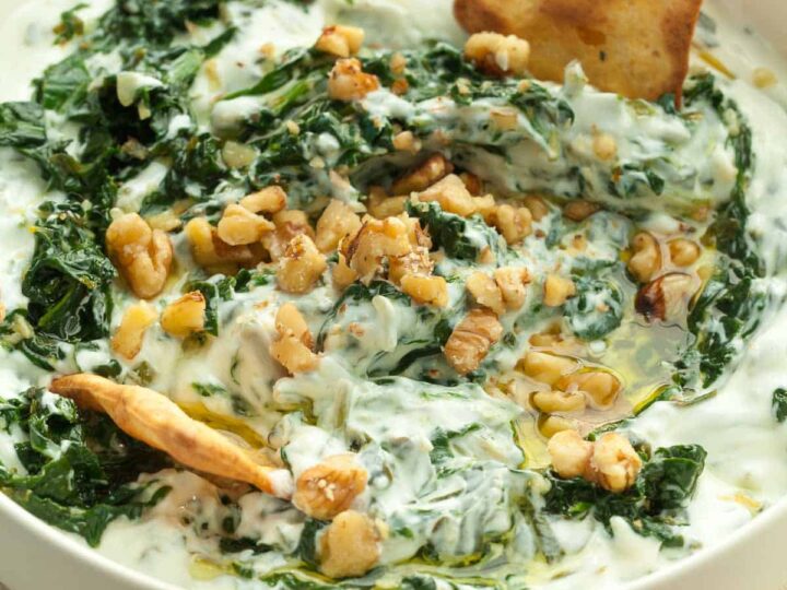 Healthy Spinach Dip in Bowl Close Up