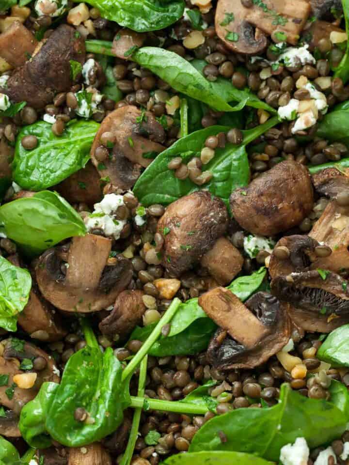 Black Lentil Spinach Salad Close Up