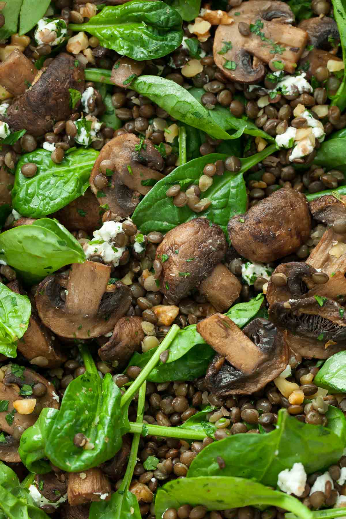 Black Lentil Spinach Salad Close Up