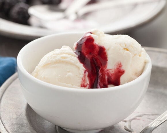 Frozen Kefir Dessert Close Up