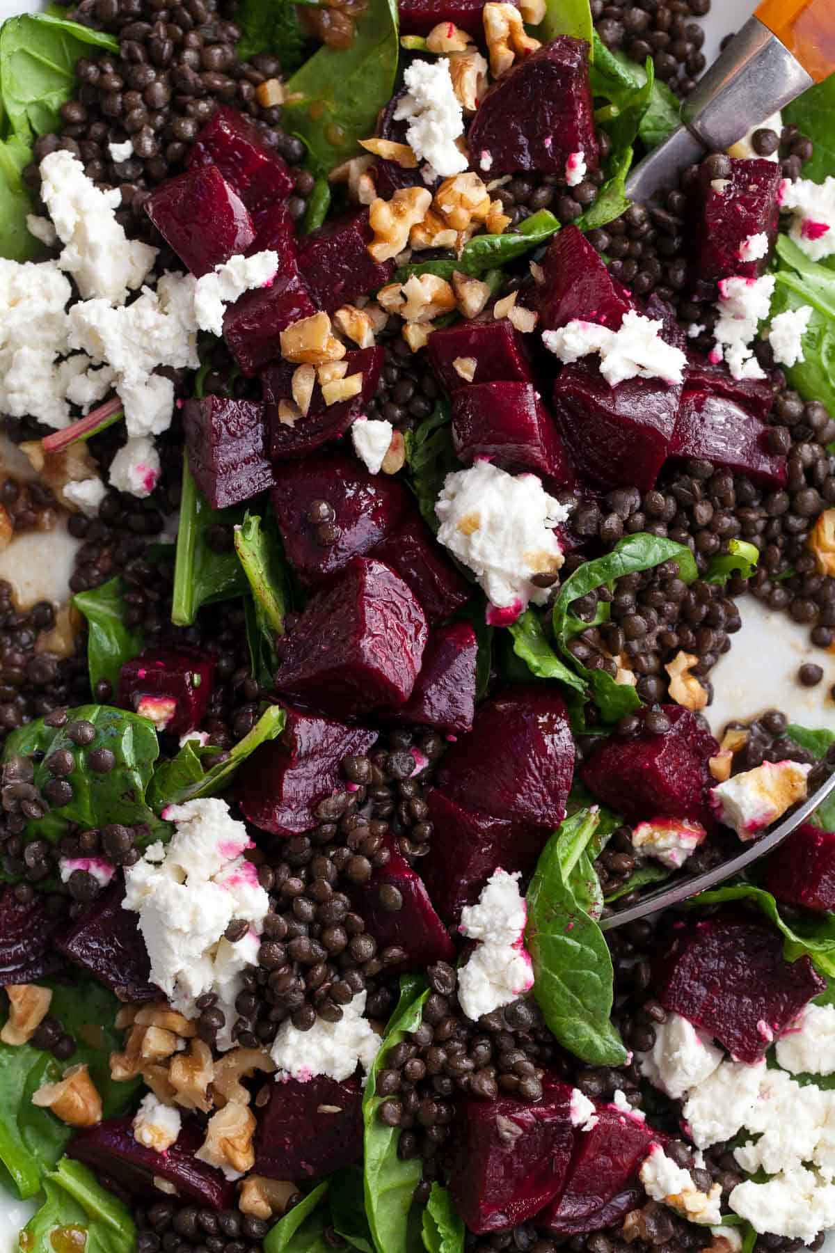 Beet & Beluga Lentil Salad with Goat Cheese Close Up