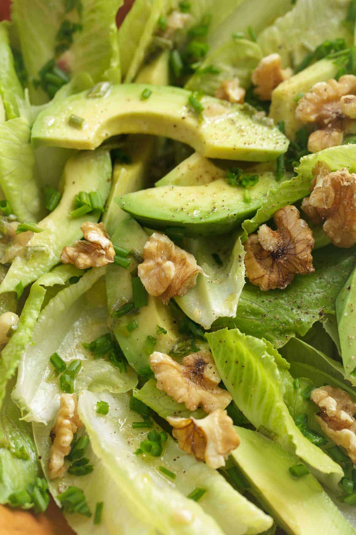 Close-up of romaine and avocado salad with sliced avocado, chopped chives, and toasted walnuts tossed in Dijon mustard vinaigrette.