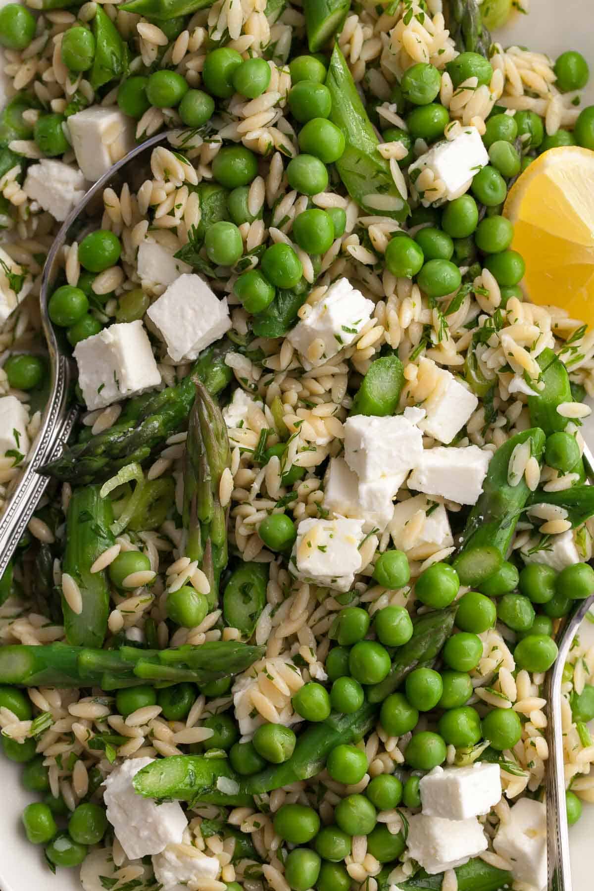 Lemon Orzo Salad with Asparagus and Peas Close Up
