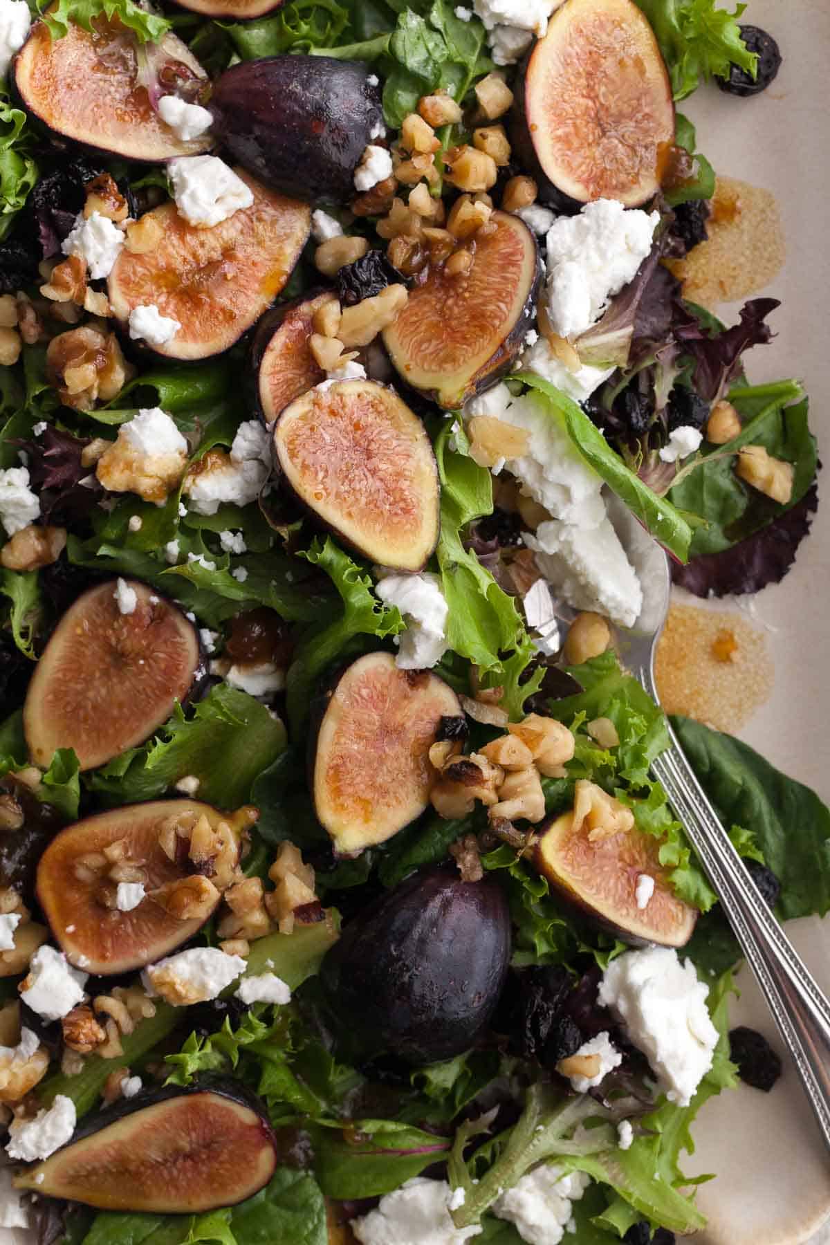 Goat cheese and fig salad close up with toasted walnuts and dried cherries